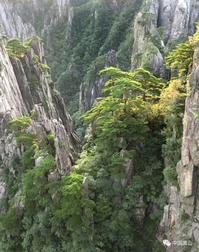 如何在大学图书馆脱单？